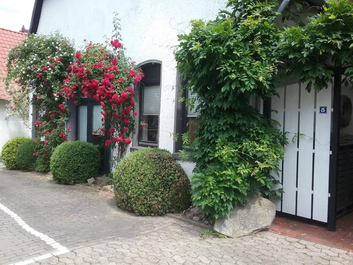 Altstadt-Apartment Petershagen Εξωτερικό φωτογραφία